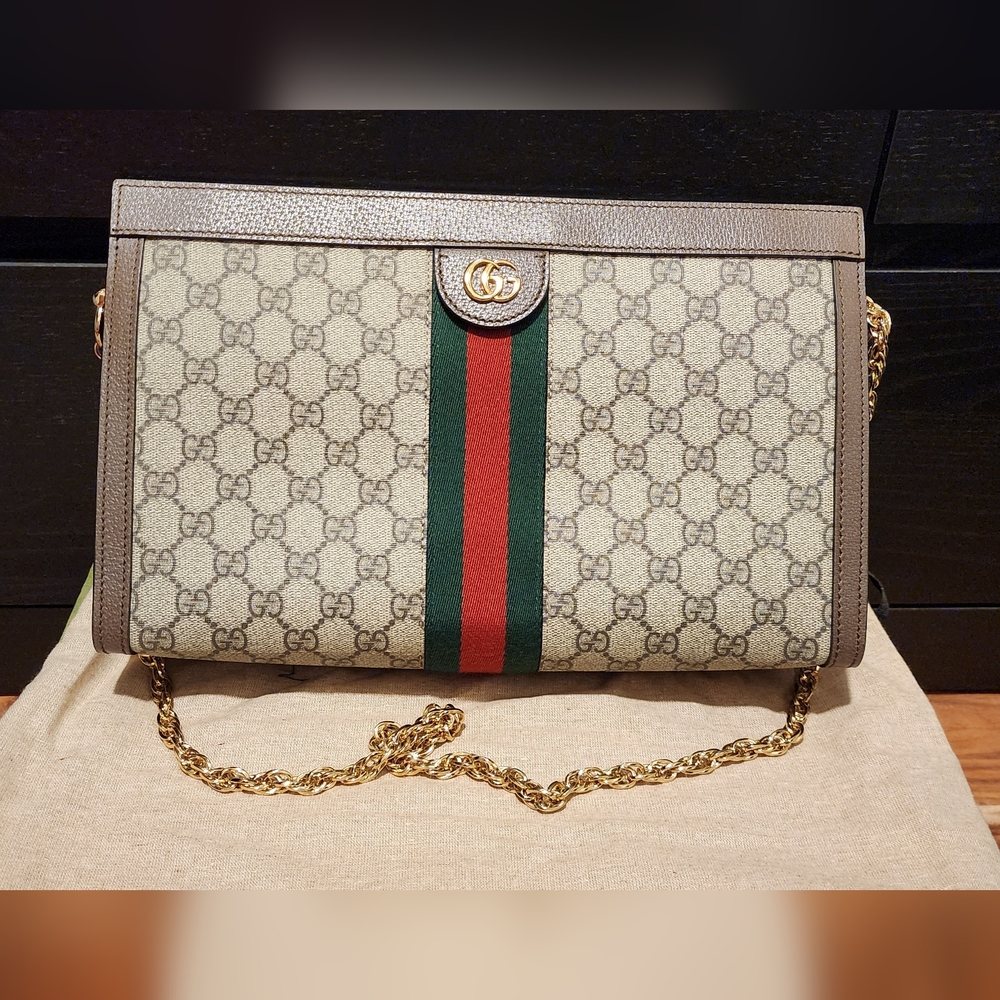 Gucci Ophidia Chain Shoulder Bag